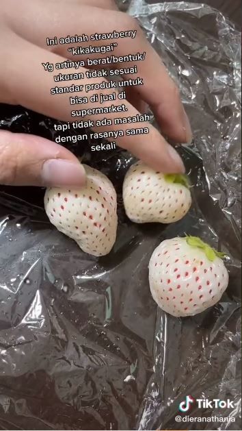 Stroberi putih Jepang (TikTok @dieranathania)