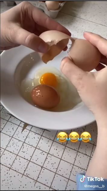 Telur di dalam telur (TikTok @megss__b)