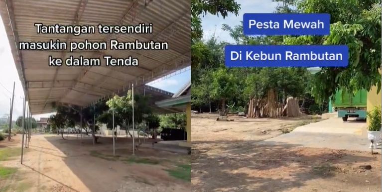 Pesta pernikahan di kebun rambutan viral (TikTok).