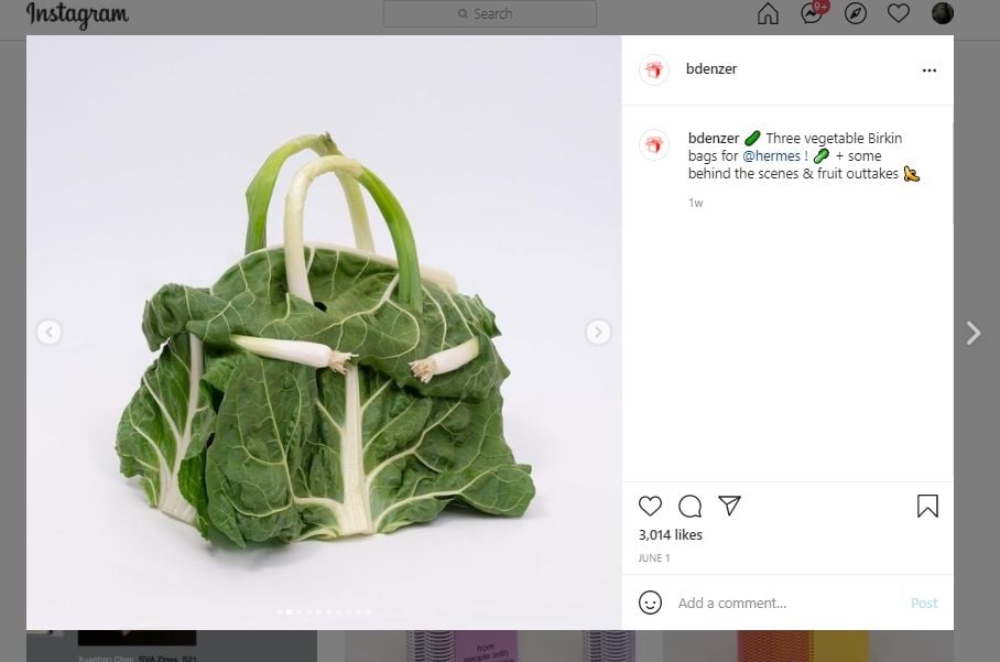 Bukan Kulit Hewan, Seniman Ini Buat Tas Hermes dari Sayuran dan Buah. (Instagram/@bdenzer)