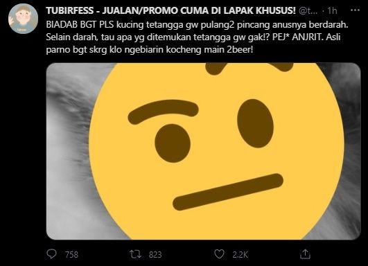 Viral Kucing Tetangga Diduga Diperkosa Orang. (Twitter/@tubirfess)