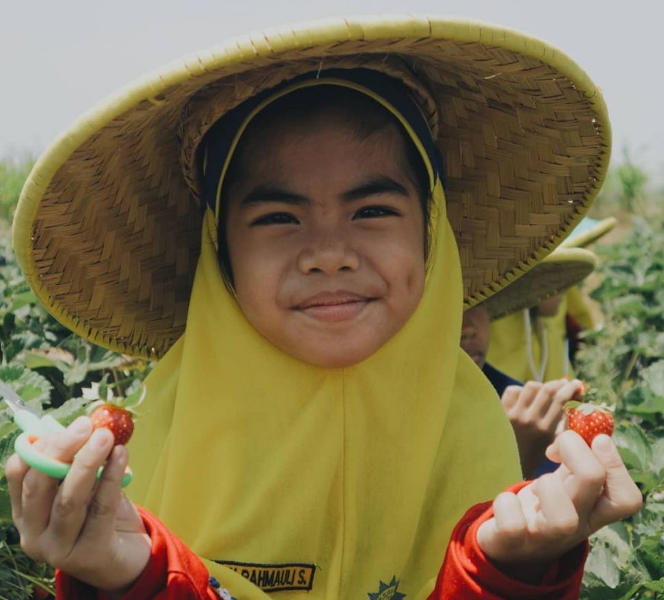 Seorang anak tengah memetik buah stroberi di Desa Pandanrejo, Jawa Timur. (Instagram/@lumbungstroberi)