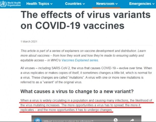 CEK FAKTA Bernarkah Vaksinasi Dapat Menyebabkan Varian Baru Covid-19. (Turnbackhoax.id)