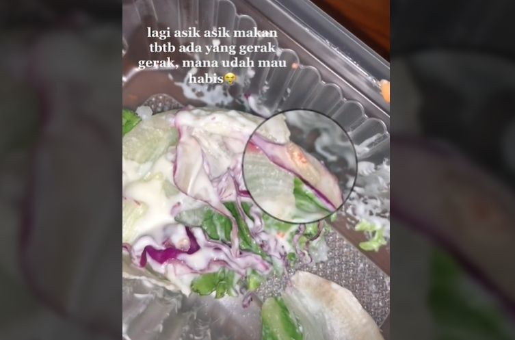 Makan salad sayur restoran, wanita mendadak hilang selera pas temukan hewan menggeliat (TikTok).