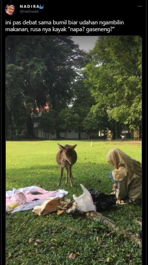 Duh! Piknik Estetik, Viral Wanita Malah Berujung Dibegal Angsa sampai Rusa. (Twitter/@nadiraakk)