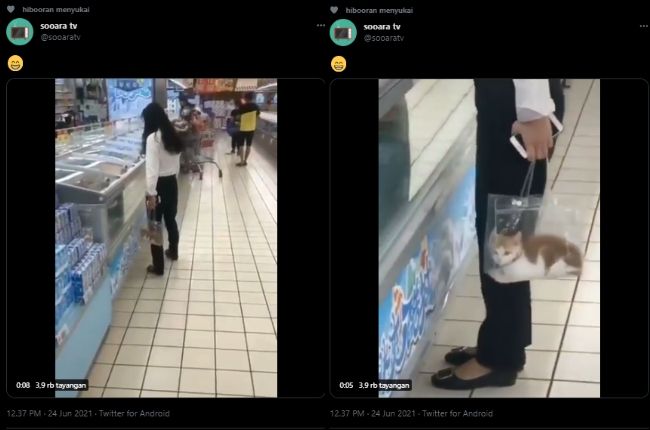 Viral Cewek Pakai Tas Transparan ke Supermarket, Pas Dizoom Publik Kaget Lihat Isinya. (Twitter/@sooaratv)