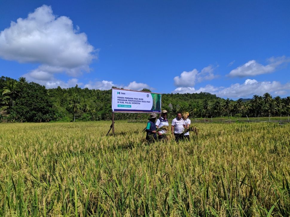 PT Moelti Pertanian Indonesia atau M-Tani, yang diprakarsai Kepala Staf Kepresidenan Moeldoko, meluncurkan inovasi baru dengan mengembangkan beras terfortifikasi bernama Sego Wangi Plus. [Dokumentasi]