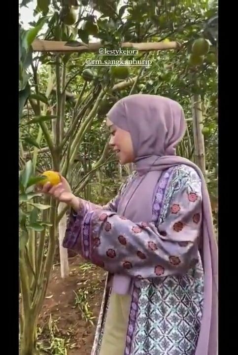 Potret kebun jeruk Lesti Kejora. (YouTube/Yuni Andriyani Official)