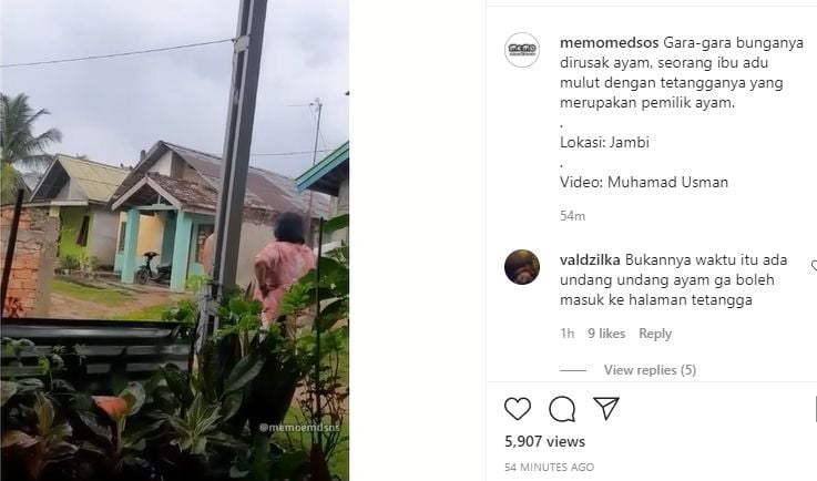 Ibu-ibu ngamuk tak terima bunganya dirusak ayam tetangga. (Instagram/memomedsos)