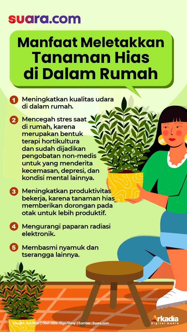 Infografis tanaman hias. (Suara.com/Rochmat)