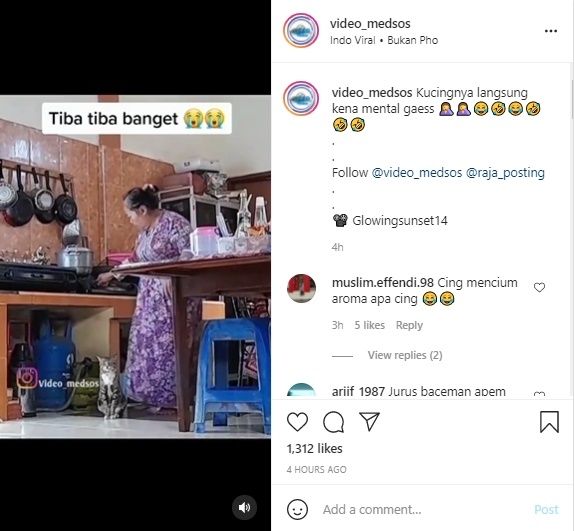 Viral Ibu Masukan Kucing ke Daster Yang Dipakainya. (Instagram/@video_medsos)