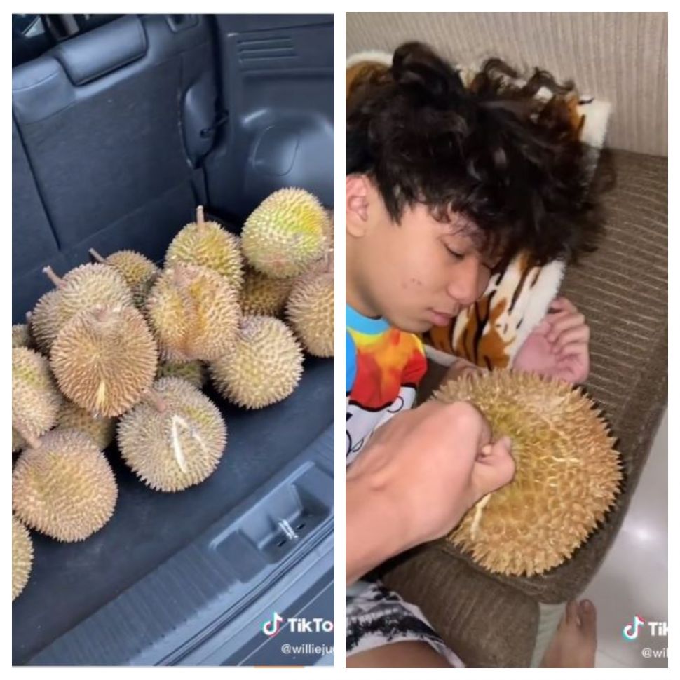 Prank adik beli durian Rp5 juta (TikTok @williejuga)