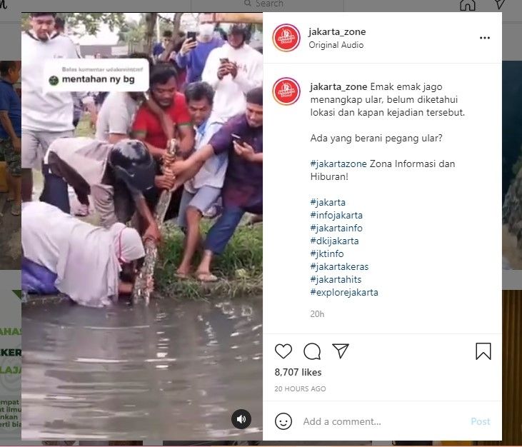 Emak-emak paling depan tangkap ular (IG)