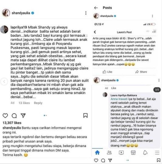 Penghinda anak Shandy Aulia (Instagram)