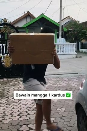 Pacar ngapel bawa mangga sekardus. (Tiktok/@silviosp0)