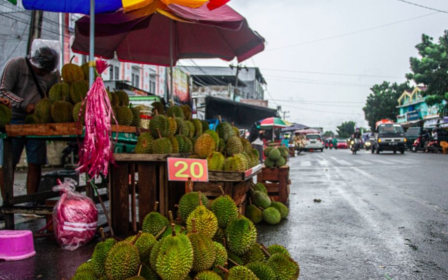 Buah durian di Pulau Bangka [Suara.com/Kenedy]