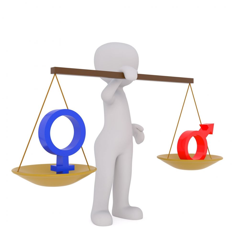 Ilustarasi kesetaraan Gender (pixabay).