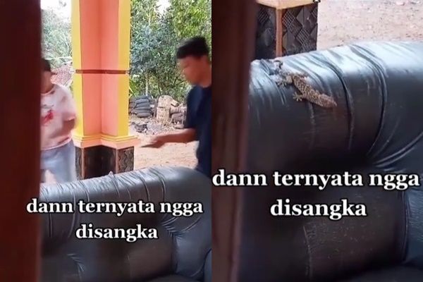 Viral Ada yang Mencakar dari dalam Sofa Usia Belasan Tahun. (Instagram/@say.viideo)