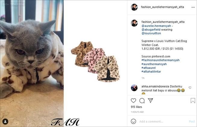 Harga baju branded kucing Aurel Hermansyah. (Instagram/@fashion_aureliehermansyah_atta)