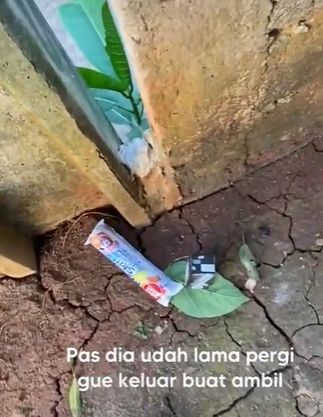 Wanita diintip tetangga saat isolasi mandiri covid-19. (Tiktok)