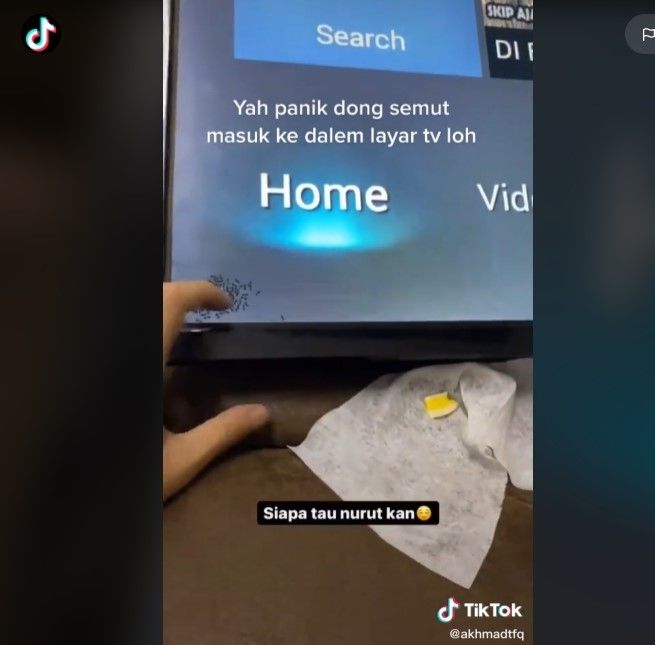 Semut masuk TV (tiktok)