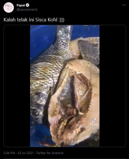 Viral Keluarga Ini Bakar Ikan Pakai Alat Tak Biasa, Publik: Sisca Kohl Kalah Telak. (Twitter/zarryhendrik)