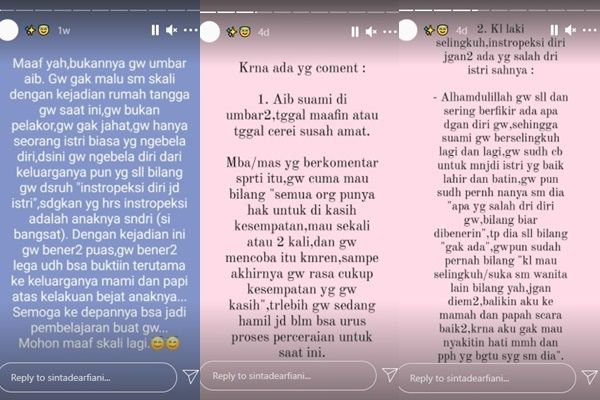 Istri Eks Pramugara Lion Air Diminta Mertua Introspeksi. (Instagram/@sintadearfiani)