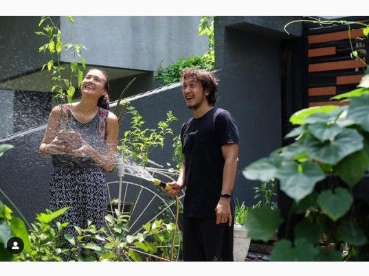 Potret artis berkebun. (Instagram/dimsanggara)