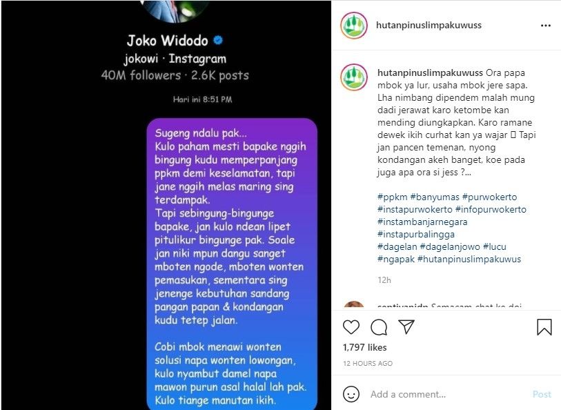 Admin Instagram objek wisata mengirimkan direct message ke Presiden Joko Widodo. [Instagram @hutanpinuslimpakuwuss]