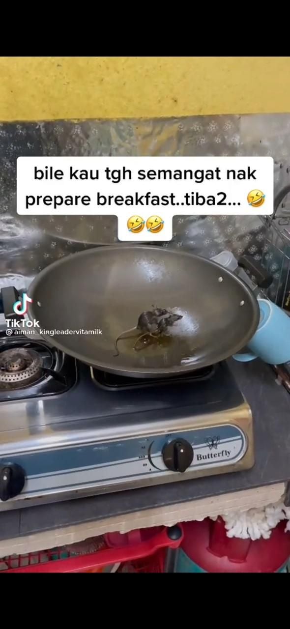 Viral nemu tikus dalam wajan (TikTok)