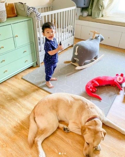 Potret rumah Chef Arnold. (Instagram/tiffanysoetanto)