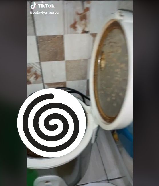 Penampakan isi rice cooker anak kos bikin merinding (tiktok)