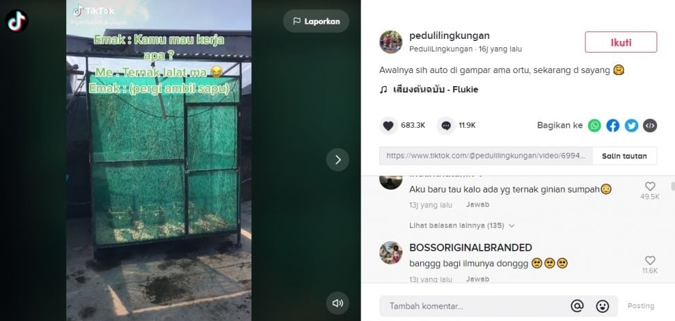 Viral Cowok Curhat Digampar Ortu Saat Izin Mau Kerja Ternak Lalat. (TikTok/@pedulilingkungan)