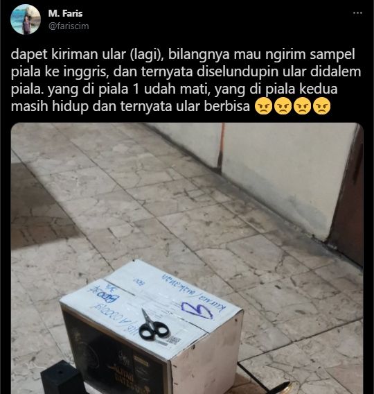 Viral penyelundupan ular dalam piala. (Twitter/@fariscim)