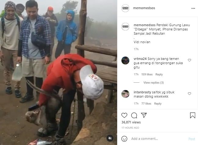 Viral Video Pendaki Gunung Lawu Dibegal Monyet. (Instagram/@memomedsos)