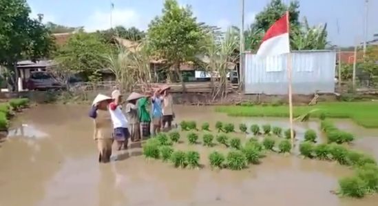 Petani upacara HUT ke-76 RI di tengah sawah (Twitter)