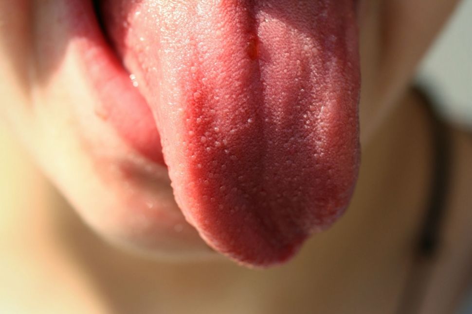 Ilustrasi lidah sebagai indra pengecapan. [Istimewa]