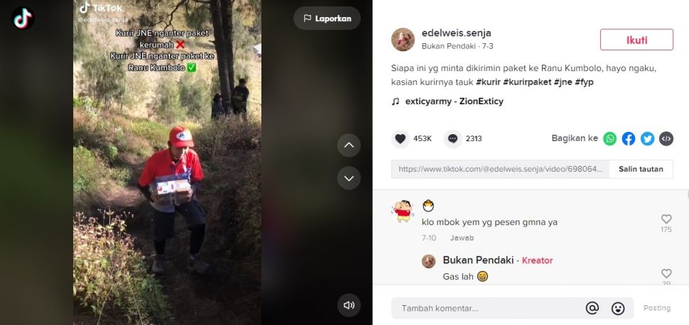 Viral Kurir Ngos-ngosan Antar Paket Sampai ke Ranu Kumbolo Gunung Semeru. (TikTok/@edelweis.senja)