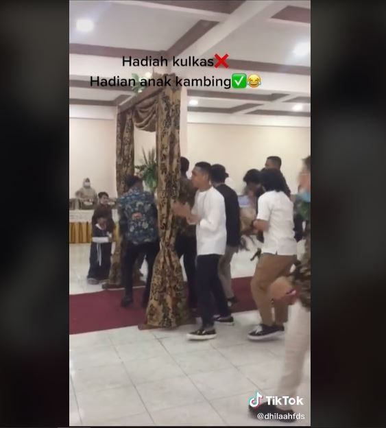 Viral Tamu Bawa Hadiah Anak Kambing ke Pelaminan (tiktok.com/@dhilaahfds)