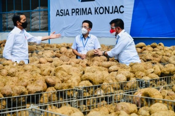 Jokowi mengunjungi pabrik pengolahan porang milik PT Asia Prima Konjac dalam kunjungan kerjanya ke Kabupaten Madiun, Provinsi Jawa Timur, Kamis, 19 Agustus 2021 [SuaraSulsel.id / Sekretariat Presiden]