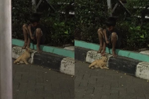 Viral Foto Bocah Peluk Erat Kucing di Pinggir Jalan. (Twitter/@saintlaurus)