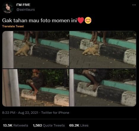 Viral Foto Bocah Peluk Erat Kucing di Pinggir Jalan. (Twitter/@saintlaurus)