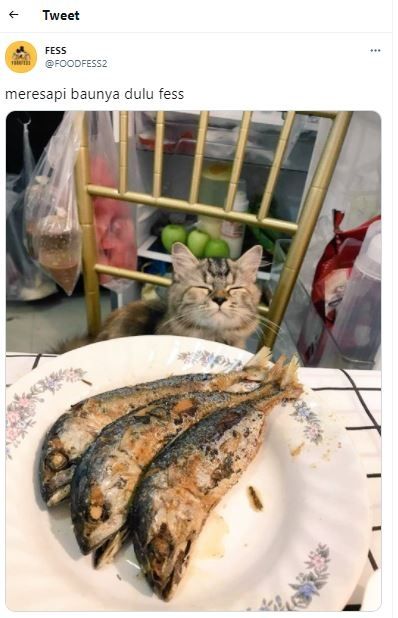 Kucing lihat ikan goreng (Twitter @FOODFESS2)