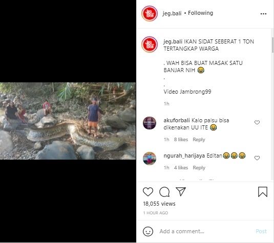 Warga Tangkap Ikan Seberat 1 Ton Bikin Syok. (Instagram/@jeg.bali)