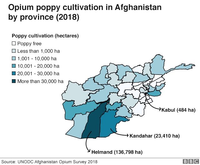 Opium yang dihasilkan Taliban. [BBC]