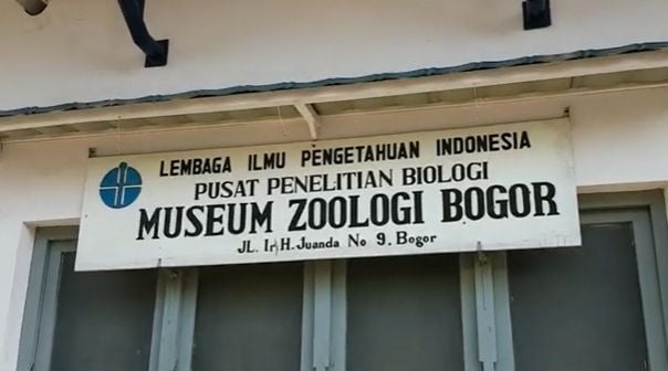 Museum Zoologi Bogor [YouTube Eko Budi Utomo]