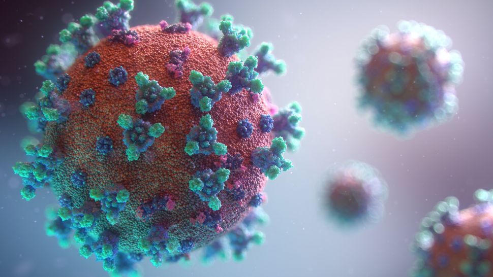 Ilustrasi HIV. (Unsplash / Fusion Medical Animation)