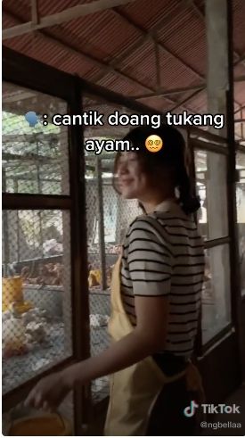 Viral video gadis cantik menjadi peternak ayam. [TikTok]