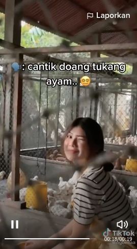 Viral video gadis cantik menjadi peternak ayam. [TikTok]