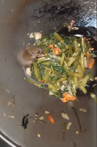 Pria syok lihat tambahan daging di masakan kangkung. (Tiktok/prasetyajn)